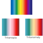 know facts about colour deficiency - Simpleeyedeas