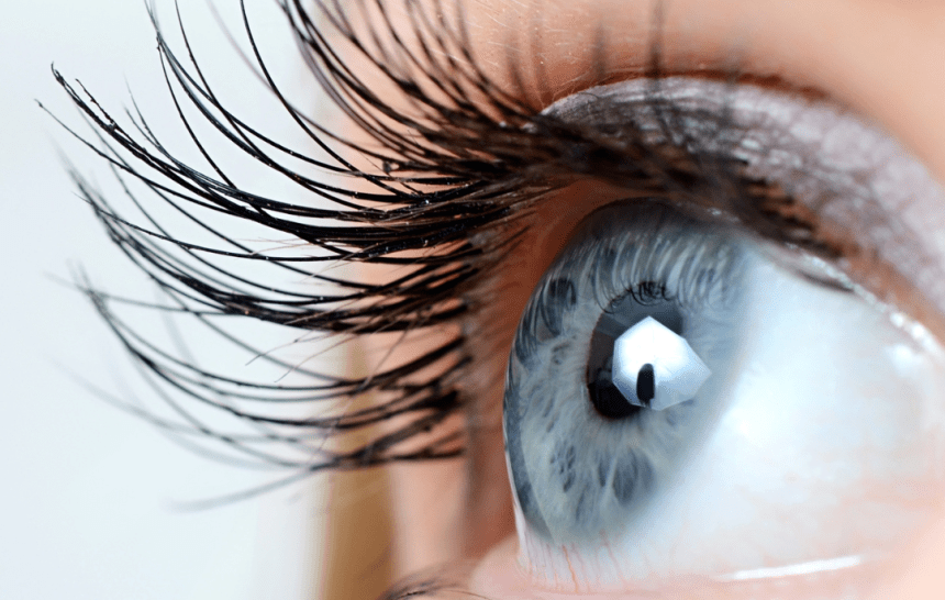 THE 4 WAYS TO HAVE LONGER EYELASHES